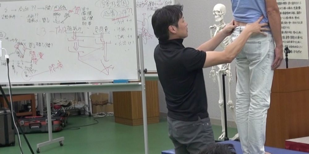 比べて下さい、日本に足りないものがこれだ！　〜【動画】多角的に理論を駆使するオランダ徒手のデモ〜